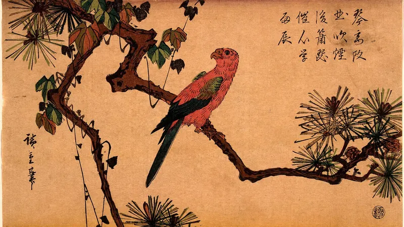 Macaw on a Pine Branch by Andō Hiroshige