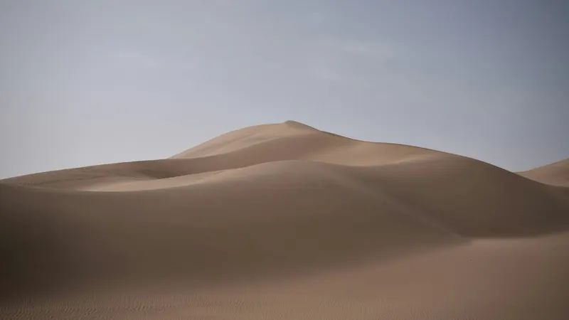 Brown desert under white sky during daytime by Jason An