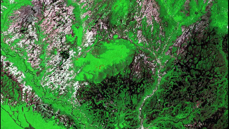 Araca River by U.S. Geological Survey
